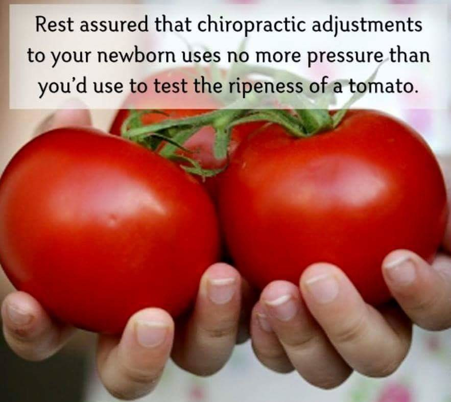 tomato-adjusting